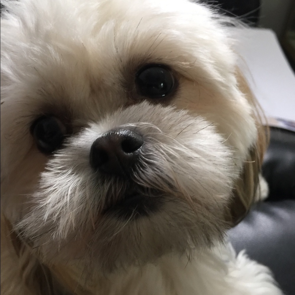 Meet your Posher, Evan